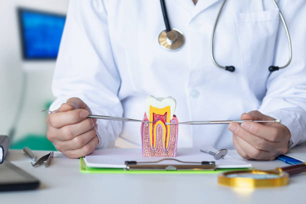 Best Knocked-Out Tooth Emergency  in Dollar Bay, MI